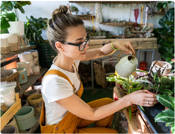 6 Steps to Building A DIY Indoor Garden and Decoration Ideas to Spruce It Up