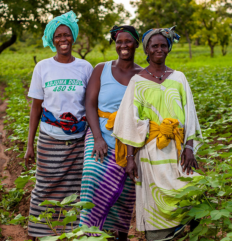 cotton-women-farmer