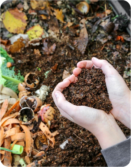 The Future of Composting and Bioplastics: How USDA's New Definition Could Be a Game Changer