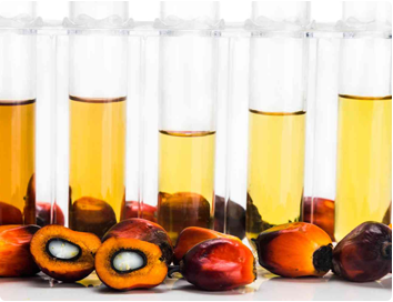 Oleochemical Catalysts